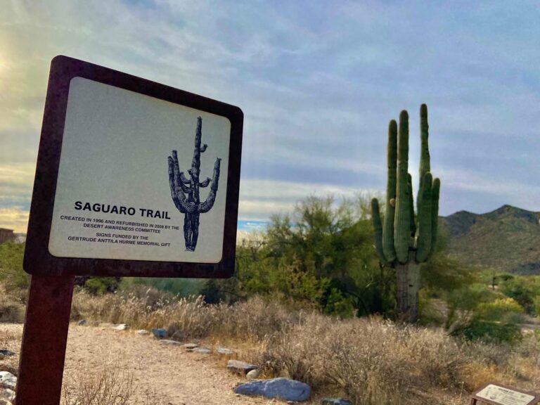 The Issue with Desert Awareness Park