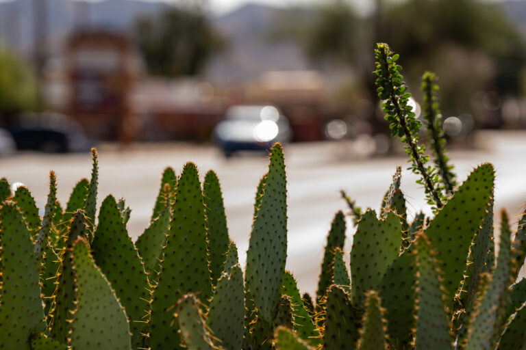 Cave Creek Voter Questions